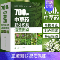 [正版]700种中草药野外识别速查图鉴 中医草药识别图全集 养生速查书籍 中草药图谱基本知识识别手册应用 中医中药学 野