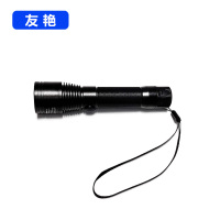 友艳LED灯YYDD-004/个