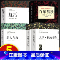 百年孤独+复活+大卫科波菲尔+老人与海 [正版]清华北大不是梦 复活老人与海百年孤独全集无删减完整版高中生原著悲惨世界傲