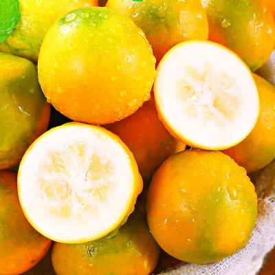 [西沛生鲜]广西小金桔 5斤 特大果 约28个/斤 新鲜水果脆甜滑皮冰糖金桔应当季水果