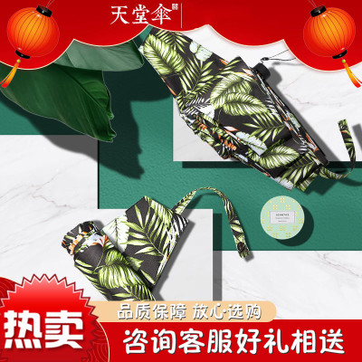 天堂伞太阳伞防晒五折小巧便携折叠两用遮阳女