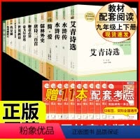 [人教版 13册]九年级上下册名著(含围城.人文 ) [正版]九年级下册必读6册简爱儒林外史我是猫格列佛游记契诃夫短篇小