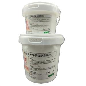 诚智旺 树枝状大分子防护涂层 包施工 1.2+0.3kg/组