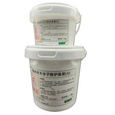 诚智旺 树枝状大分子防护涂层 包施工 1.2+0.3kg/组
