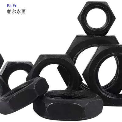 帕尔永固 六角薄螺母M24 个