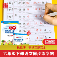 [M]小学生写字课课练 6年级 下 人教版-9787313219459