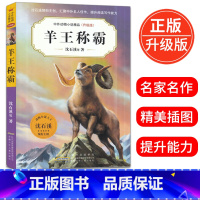 [正版]羊王称霸(升级版) 中外动物小说精品初中三四五六年级小学生课外必读书籍10-12-15岁少儿童阅读物图书狼王梦