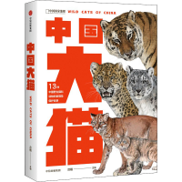 音像中国大猫作者