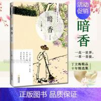 [正版] 暗香 修订版 丁立梅的书 丁立梅散文集作品集 中国现当代随笔书籍 中小学课外阅读书目书籍 名家经典修养暖心文学