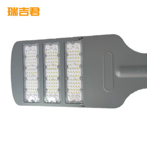 瑞吉君 路灯 RJ-L226 200W 个