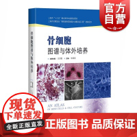 骨细胞图谱与体外培养 骨代谢基础科研研究 骨细胞 破骨细胞 骨陷窝细胞 朱国英 骨科医师医生资料工具书 上海科学技术出版