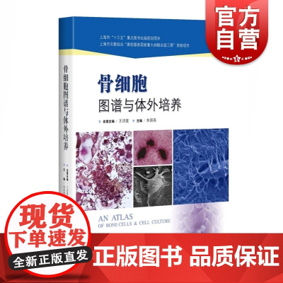 骨细胞图谱与体外培养 骨代谢基础科研研究 骨细胞 破骨细胞 骨陷窝细胞 朱国英 骨科医师医生资料工具书 上海科学技术出版