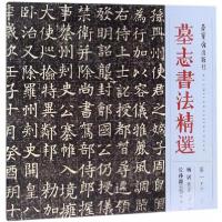 正版新书]墓志书法精选 第15册杨居墓志长孙懿墓志 正版新书编者