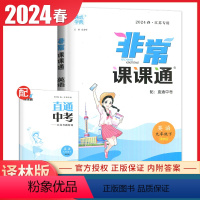 [正版]译林版2024非常课课通英语九年级下册江苏同步初中初三课时重难点非常解读初中英语讲解类教辅工具书9年级下附答案