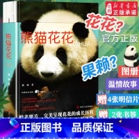 [正版]赠书签+明信片熊猫花花 蒋林书写熊猫花花的家族和花花成长历程附有丰富的熊猫知识科普大熊猫的生物学特点和生活习性