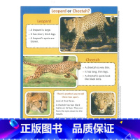 [正版]新东方 四年级英语志高班(AA) Short Reads-Non Fiction(内含2本练习册+40张图