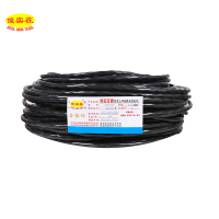 傻实在(SHASHIZAI) 电线 阻燃屏蔽双绞线 黑色 ZD-RVSP 2*1 盘