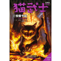 正版新书]惊雷乍起 新译本(英)艾琳·亨特 著 王淑妍 译978751486