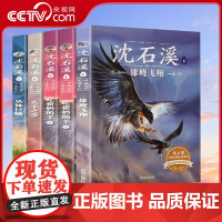[央视网]沈石溪经典动物小说系列 第二辑 套装共5册 QH