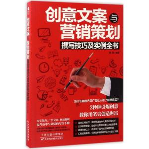 创意文案与营销策划撰写技巧及实例全书