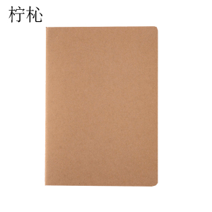 柠杺 定制记录本 B3型 本