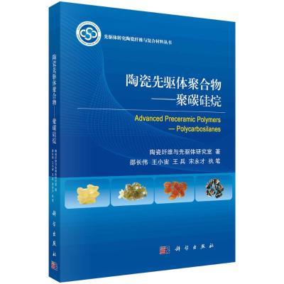 陶瓷先驱体聚合物--聚碳硅烷/先驱体转化陶瓷纤维与复合材料丛书