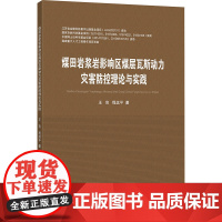 煤田岩浆岩影响区煤层瓦斯动力灾害防控理论与实践:王亮,程远平 著 大中专理科科技综合 大中专 中国矿业大学出版社