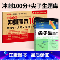 [尖题+期末冲刺100分]语文2本◆人教版 六年级下 [正版]2024春尖子生题库二三年级四五年级六一年级上下册数学语文