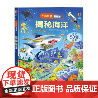 揭秘海洋 7-10岁 英国尤斯伯恩出版公司 著 科普百科