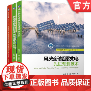 套装 高效可再生能源发电系统并网技术+风光新能源发电先进预测技术+新能源消纳的有效安全域及应用 套装全3册 新能源发