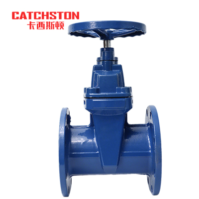 卡西斯顿 球墨铸铁闸阀 DN150 个
