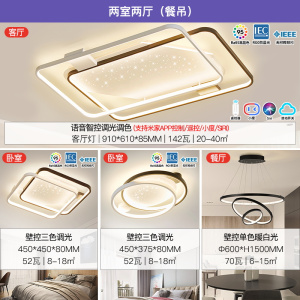 雷士照明新款舒适光大瓦数北欧星空灯客厅主灯现代简约吸顶灯具全屋套餐灯具套餐