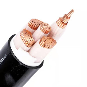 三信 铜芯电力电缆ZC-YJV4×6 米