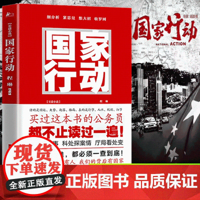 国家行动 程琳著 (修订版)新老版本随机 同名电视剧原著小说长篇反腐刑侦 官场反腐小说现当代文学 江苏凤凰文艺出版社