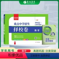 [正版]2023版实验班小升初重点中学择校卷数学小升初夺冠密卷数学必刷题 人教版六年级期末考试全套数学押题卷重点中学择