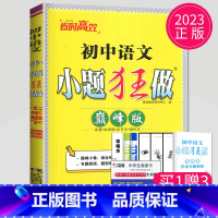 语文 七年级下 人教 巅峰版 [正版]2025小题狂做七年级下册上册数学语文英语七下提优版巅峰版人教版苏科版苏教译林江苏