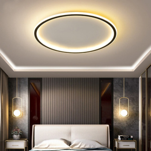 苏宁放心购 圆形现代简约个性卧室灯吸顶灯led现代北欧ins家用阳台灯书房灯主卧次卧灯饰双色可调书房灯具 黑框40cm 默认颜色