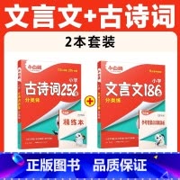 推荐❤[古诗词+文言文]2本套装 小学通用 [正版]2025小白鸥星空小升初古诗词252首四五六年级小古文提分专练小学语