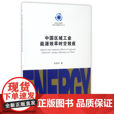 中国区域工业能源效率时空效应/资源与能源现实问题研究丛书