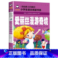 爱丽斯漫游奇境 小学通用 [正版]5本20元小学生一段话作文好词好句好段小学生作文起步1-2年级儿童作文书入门注音版小学