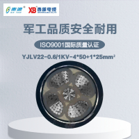 秦源牌 YJLV22-0.6/1KV-4*50+1*25mm² 铝芯低压钢带铠装电力电缆 元/米 定制商品 联系客服