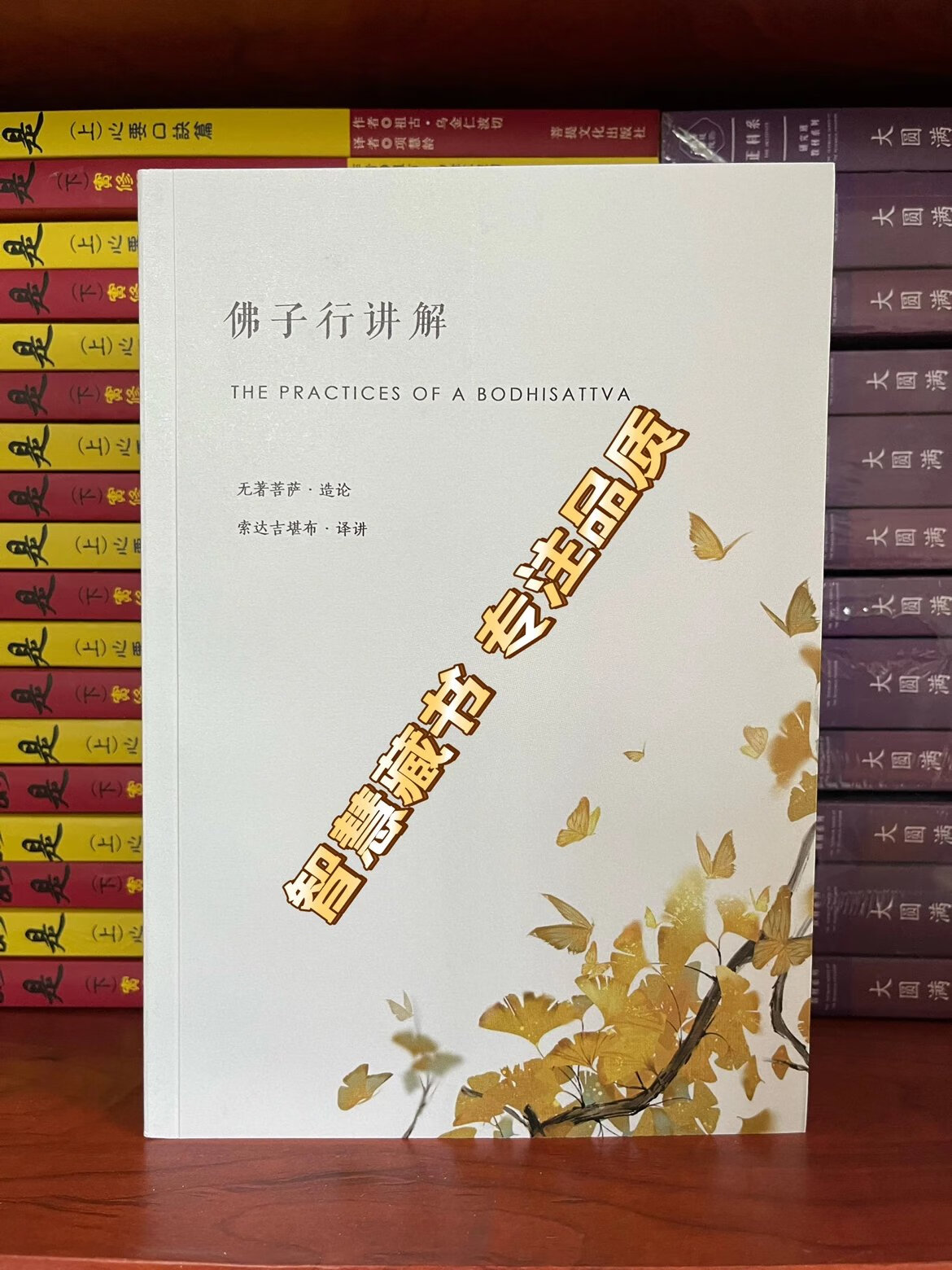 佛子行讲解 索师