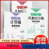 [计算题+几何+代数综合题]数学3本套 八年级 [正版]周计划初中数学几何综合题高效训练八年级 8年级上下册同步训练题练