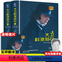 精装大卫科波菲尔上下 [正版]精装大卫科波菲尔上下2册原著无删减宋兆霖译狄更斯 著 原版初中高中世界名著课外阅读书籍