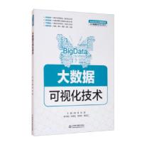 正版新书]大数据可视化技术黄源,张扬 编9787517092575