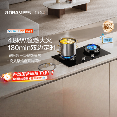 老板(Robam)E2P燃气灶联动定时灶家用厨房炉具配件灶台灶具 4.8kW 68%热效率56BA-E2P 液化气