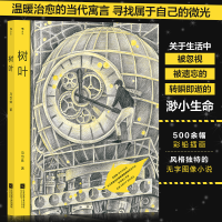 正版新书]树叶(精)马岱姝9787559462718