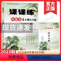八上语文 课课练 新题型考点强化训练 初中通用 [正版]2024新视角名校作业八年级下册语文新题型能力提升专题训练人教版