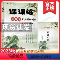八上语文 课课练 新题型考点强化训练 初中通用 [正版]2024新视角名校作业八年级下册语文新题型能力提升专题训练人教版