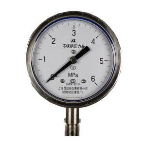 上自仪不锈钢/隔膜压力表Y-100BF 接口M20×1.5 量程0-6Mpa 带三色环
